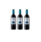 Kit Vinho Gato Negro Merlot Tinto Meio Seco Chileno 750ml 3u