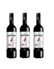 Kit Vinho Macaw Cabernet Sauvignon Tinto Demi-Sec 750ml 3uni