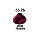 Kit Vinho Marsala 01 Mascara 250g e 01 Coloração Mairibel