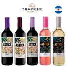 Kit Vinhos Argentinos Astica Kit Vinhos Argentinos Astica