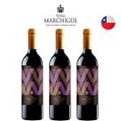 Kit Vinhos Chileno Errazuriz Ovalle Collection Carmenere