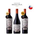 Kit Vinhos Chilenos Castillo di Molina Tinto Gran Reserva Kit Vinhos Chilenos Castillo di Molina Tinto Gran Reserva