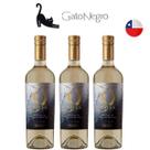Kit Vinhos Chilenos Gato Negro 9 Lives Sauvignon Blanc - 3 garrafas
