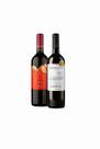 Kit vinhos tinto seco carmenere