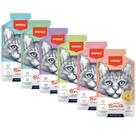 Kit wanpy caldinhos para gatos completo 6 sabores irresistíveis