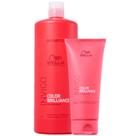 Kit Wella Brilliance Cabelos Coloridos (2 Produtos)