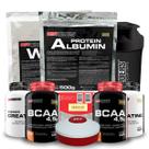 Kit Whey Protein 500g + Albumin Protein 500g + 2x BCAA 100g + 2x Power Creatina 100g + Coque + Porta Capsulas - Bodybuilders Kit Whey Protein 500g + Albumin Protein 500g + 2x BCAA 100g + 2x Power Creatina 100g + Coque + Porta Capsulas - Bodybuilders