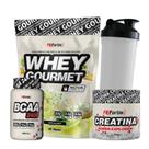 Kit Whey Protein Refil + Creatina 300g + BCAA cáps + Coqueteleira - FN Forbis Nutrition