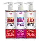 Kit Widi Care 2 Encaracolando + 1 Encrespando A Juba 500ml