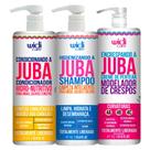 Kit Widi Care Linha Juba Encrespando, Cond e Shampoo 1L