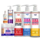 Kit Widi Care Linha Juba Shampoo, Condicionador, Encaracolando, Máscara, Geleia e Blend Kit Widi Care Linha Juba Shampoo, Condicionador, Encaracolando, Máscara, Geleia e Blend