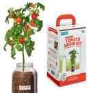 Kit Windowsill Planter Back to the Roots Cherry Tomato