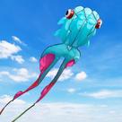 Kite Catch&Hunt 43 pés de largura para adultos 3D Goldfish sem moldura