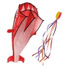 Kite IMAGE 3D Red Dolphin Breeze Beach Large com moldura