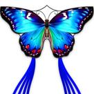 Kite SGFTre Beautiful Butterfly Moonlight para crianças e adultos Kite SGFTre Beautiful Butterfly Moonlight para crianças e adultos