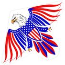 Kite Xida Patriotic Eagle para crianças e adultos de 8 a 12 anos +8