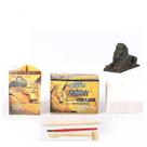 Kits científicos: escavação de ovos de dinossauro, escavação para crianças