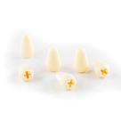 Knob Chaves Seletoras Guitarra (6 Peças) Spirit PST6-CREAM