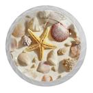 Knobs Cabinet Knobs, pacote com 4 conchas marinhas e estrelas do mar, ABS branco Knobs Cabinet Knobs, pacote com 4 conchas marinhas e estrelas do mar, ABS branco