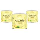 Kombuchá Gengibre Abacaxi Hortelã 3 Potes de 200g kombucha