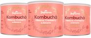 Kombuchá Hibiscus Cranberry Amora Soluvel 3 Potes de 200g Kombucha