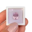 Kunzita Pink Gota 6,04ct Kunzita Pink Gota 6,04ct