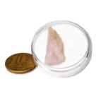 Kunzita Rosa Pedra Natural Fonte de Lítio No Estojo Coleção