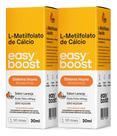 L-metilfolato De Cálcio Easy Boost Ácido Fólico B9 30ml