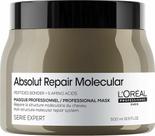 L'Oréal Professionnel Serie Expert ABSOLUT - MOLECULAR MASC 500G