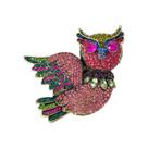 L5711-Broche Feminino Personalizados Para Roupa Vestido Terno Presente Coleção Festa Grande Coruja Pedraria Animal