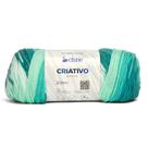 Lã Criativo Cisne 100g 200 metros