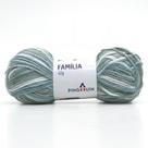 Lã Família Cores 40g Lã Família Cores 40g