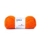 Lã familia Pingouin 40 g