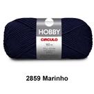 Lã Fio Hobby Círculo 100g 160m Novelo - Tricô e Crochê