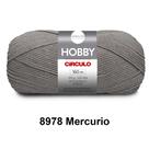 Lã Fio Hobby Círculo 100g 160m Novelo - Tricô e Crochê