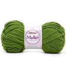Lã Mollet 40g - Cores 2024