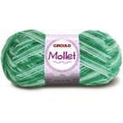 Lã Mollet Círculo Cor Mesclada 100G - 9440