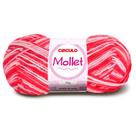 Lã Mollet Círculo Mesclada 40g com 5 unidades - Cor 9202 Goiaba
