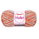Lã Mollet Círculo Mesclada 40g com 5 unidades - Cor 9699 Praia