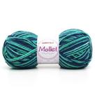 Lã Mollet Mesclado 100g Lã Mollet Mesclado 100g