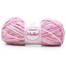 Lã Mollet Mesclado 100g