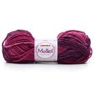 Lã Mollet Mesclado 40g