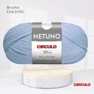 Lã Netuno 100g Cor Bruma 8195