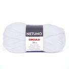 Lã Netuno Círculo 100g 301 metros