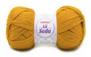 Lã Seda Círculo 100g - Cor 7030 Mostarda - Fio para Tricô e Crochê