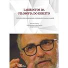 Labirintos da Filosofia do Direito - LIBER ARS