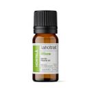 Labotrat Óleo essencial HORTELÃ (mentha piperita oil) - 10ml Labotrat Óleo essencial HORTELÃ (mentha piperita oil) - 10ml