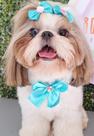 Laço Pet Para Banho e Tosa Pet Shop 36 peças 12 Laços de pescoço + 24 Lacinhos