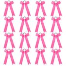 Laços Cheer DEEKA Pink Collegiate Style para meninas e adolescentes x16