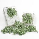 Laços de embrulho para presentes HUIHUANG Sage Green, autoadesivos, 6 unidades Laços de embrulho para presentes HUIHUANG Sage Green, autoadesivos, 6 unidades